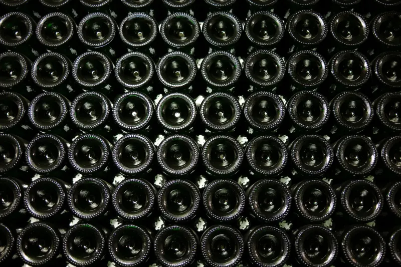 起泡酒与果酒生产工艺差异及风味品质对比解析正文配图 1